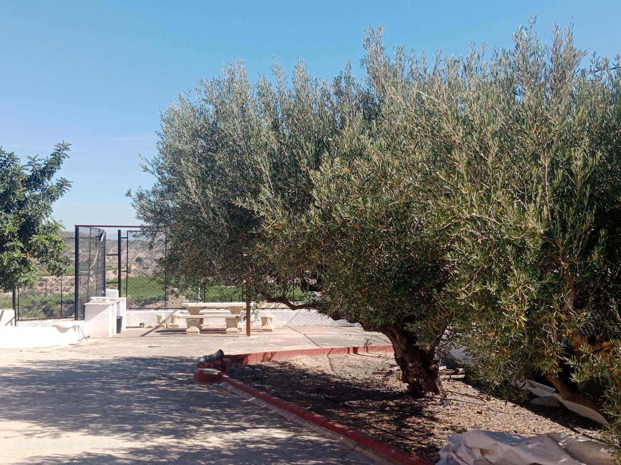 Casa Las Moscas Murcia Dış mekan fotoğraf